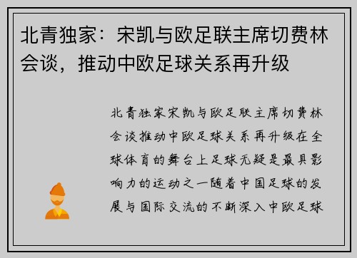 北青独家：宋凯与欧足联主席切费林会谈，推动中欧足球关系再升级