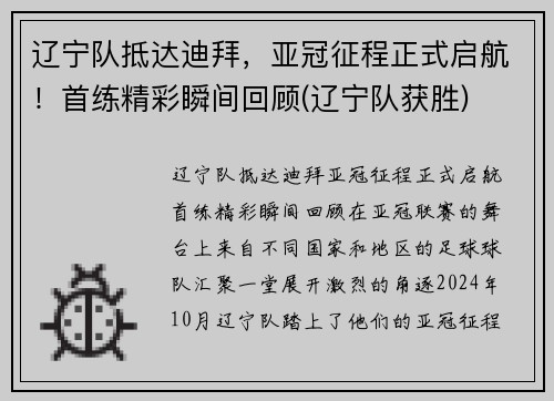 辽宁队抵达迪拜，亚冠征程正式启航！首练精彩瞬间回顾(辽宁队获胜)