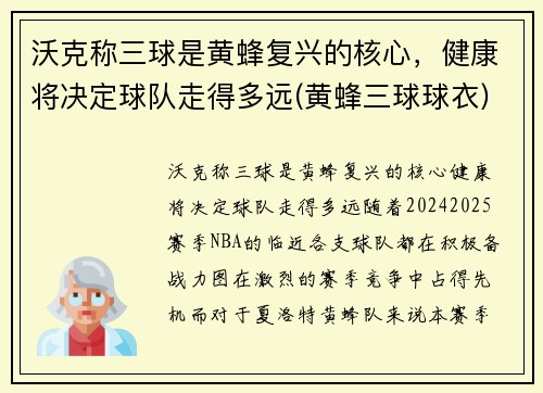 沃克称三球是黄蜂复兴的核心，健康将决定球队走得多远(黄蜂三球球衣)